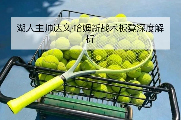 湖人主帅达文·哈姆新战术板凳深度解析